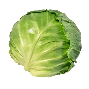 Cabbage (7)-6357753-49708.webp